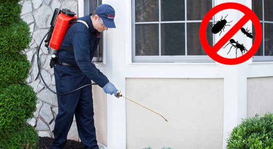 Çubuk Böcek İlaçlama böcek ilaçlama ve haşere kontrolü — ilaclama-tr.com
